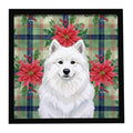 White Samoyed Christmas PoinsettIas Framed Metal Print Bathroom, Kitchen, Office, Home Decor Wall Art Ready to Hang, Square, 8X8