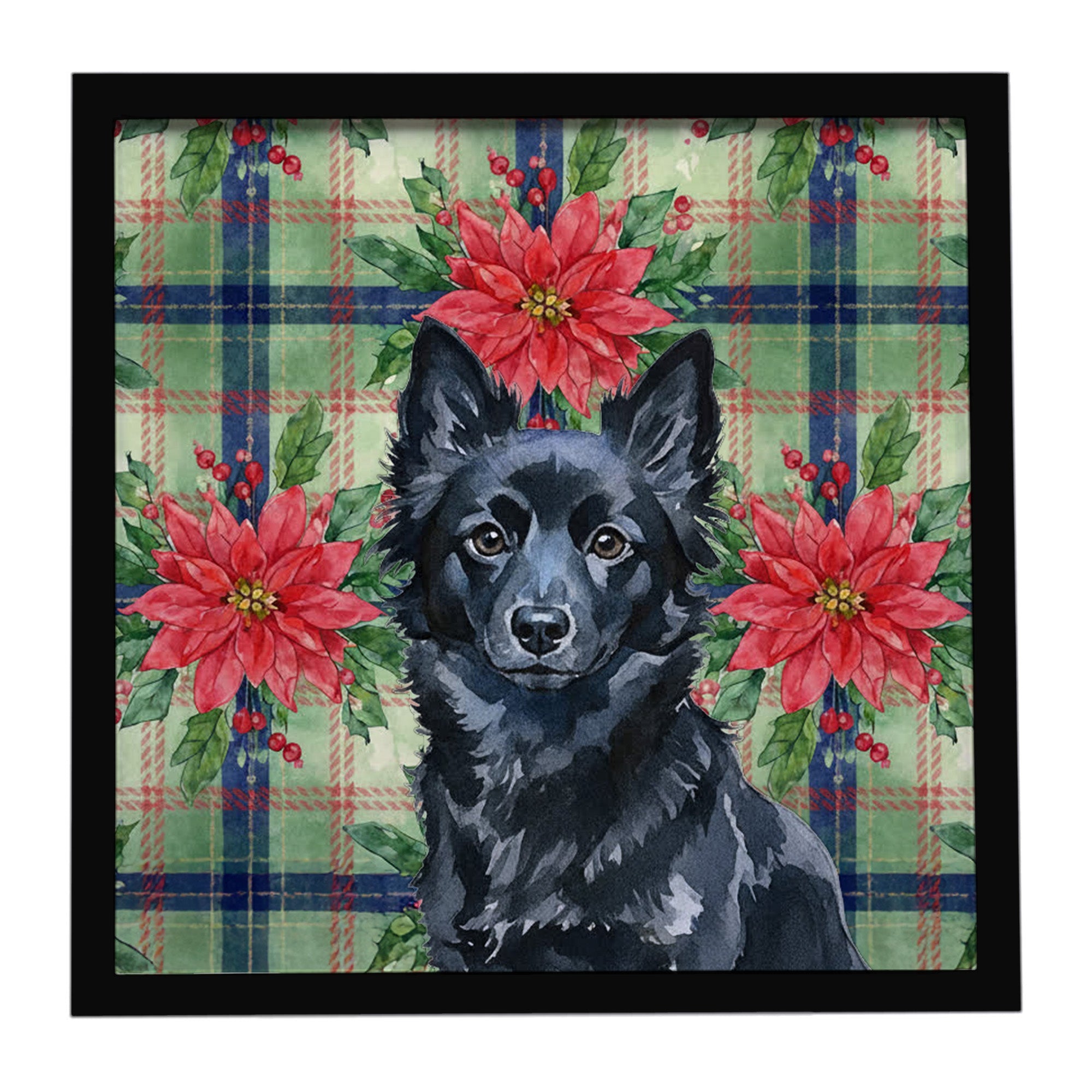 Schipperke Christmas PoinsettIas Framed Metal Print Bathroom, Kitchen, Office, Home Decor Wall Art Ready to Hang, Square, 8X8