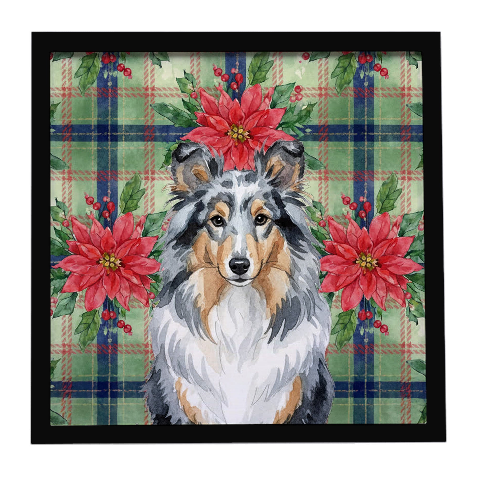 Blue Merle Sheltie Christmas PoinsettIas Framed Metal Print Bathroom, Kitchen, Office, Home Decor Wall Art Ready to Hang, Square, 8X8