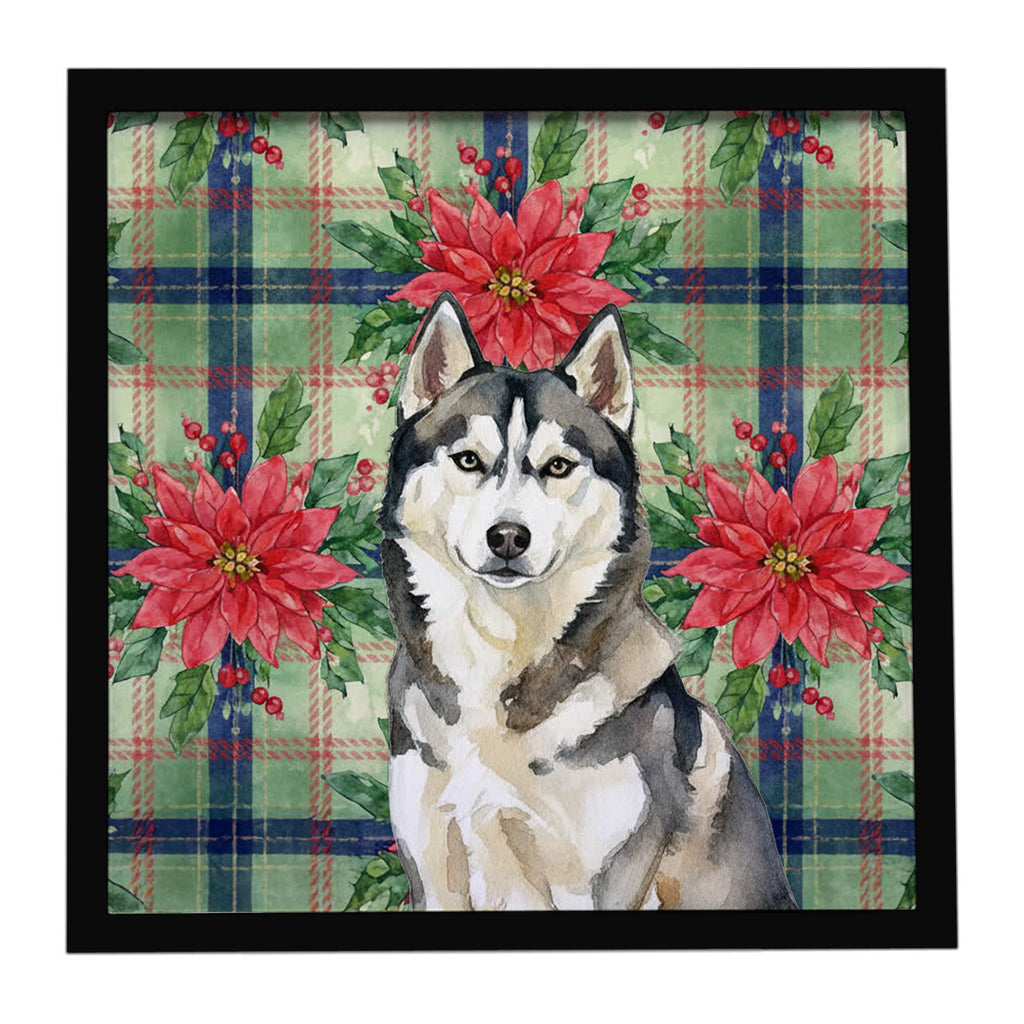 Agouti Siberian Husky Christmas PoinsettIas Framed Metal Print Bathroom, Kitchen, Office, Home Decor Wall Art Ready to Hang, Square, 8X8