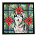 Agouti Siberian Husky Christmas PoinsettIas Framed Metal Print Bathroom, Kitchen, Office, Home Decor Wall Art Ready to Hang, Square, 8X8