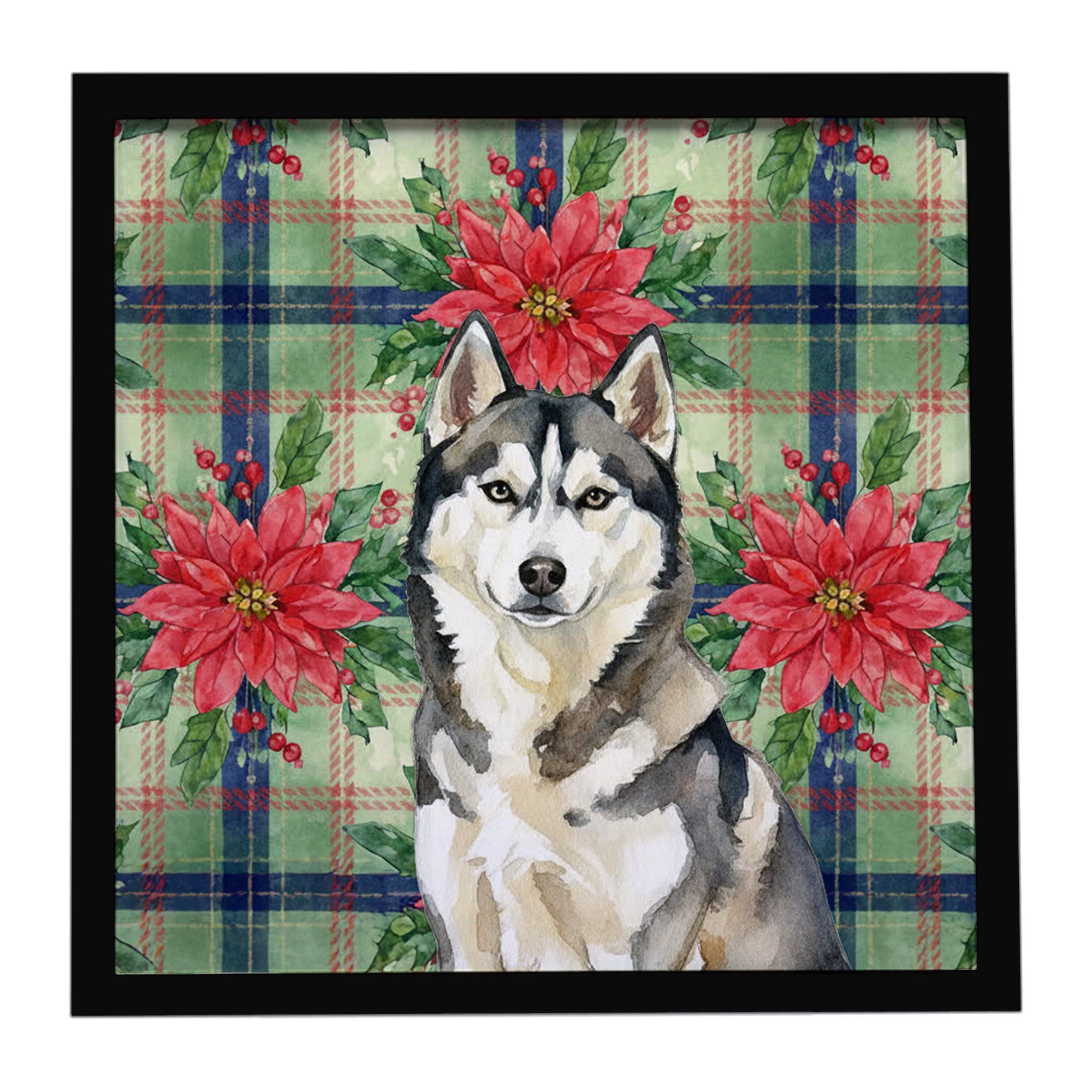 Agouti Siberian Husky Christmas PoinsettIas Framed Metal Print Bathroom, Kitchen, Office, Home Decor Wall Art Ready to Hang, Square, 8X8