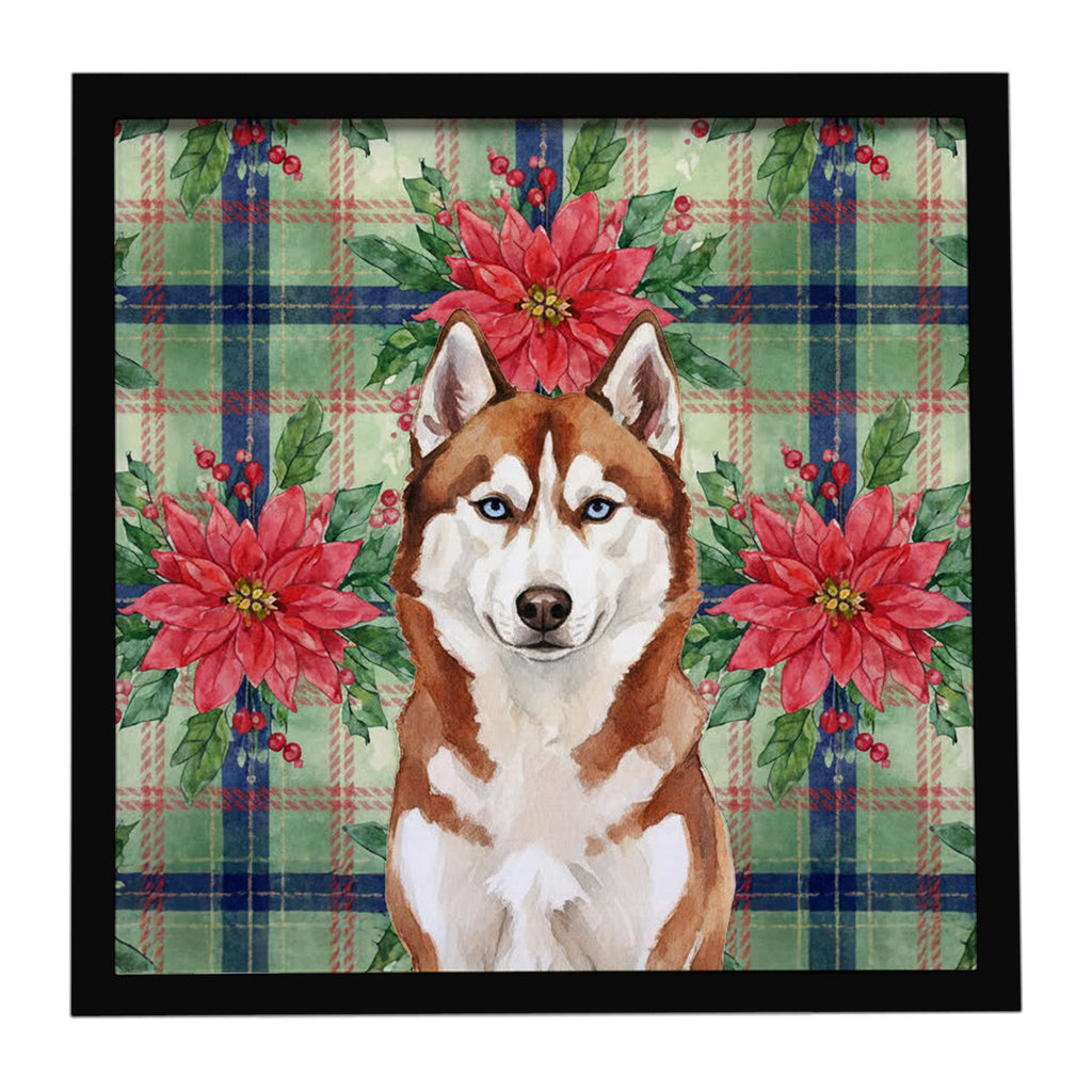 Red and White Siberian Husky Christmas PoinsettIas Framed Metal Print Bathroom, Kitchen, Office, Home Decor Wall Art Ready to Hang, Square, 8X8