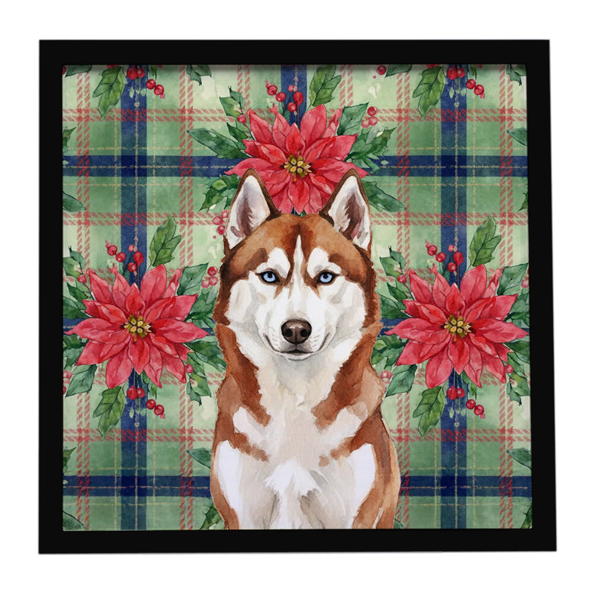 Red and White Siberian Husky Christmas PoinsettIas Framed Metal Print Bathroom, Kitchen, Office, Home Decor Wall Art Ready to Hang, Square, 8X8