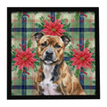 Brindle Staffordshire Bull Terrier Christmas PoinsettIas Framed Metal Print Bathroom, Kitchen, Office, Home Decor Wall Art Ready to Hang, Square, 8X8