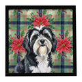 Black and White Tibetan Terrier Christmas PoinsettIas Framed Metal Print Bathroom, Kitchen, Office, Home Decor Wall Art Ready to Hang, Square, 8X8