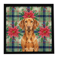 Vizsla Christmas PoinsettIas Framed Metal Print Bathroom, Kitchen, Office, Home Decor Wall Art Ready to Hang, Square, 8X8