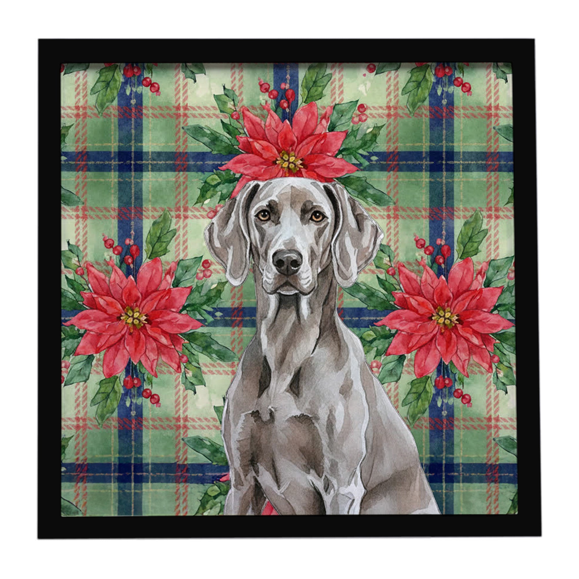 Weimaraner Christmas PoinsettIas Framed Metal Print Bathroom, Kitchen, Office, Home Decor Wall Art Ready to Hang, Square, 8X8