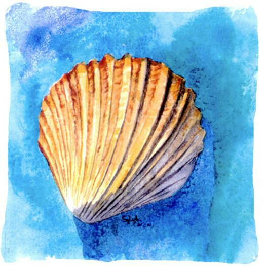 Shells Decorative Throw Pillow 14x14 Indoor Outdoor Accent Cushion, Fabric Cover with Insert for Sofa, Bed, Porch & Living Room