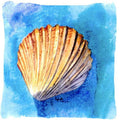 Shells Decorative Throw Pillow 14x14 Indoor Outdoor Accent Cushion, Fabric Cover with Insert for Sofa, Bed, Porch & Living Room