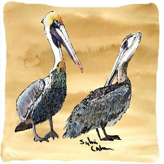 Pelican Decorative Throw Pillow 14x14 Indoor Outdoor Accent Cushion, Fabric Cover with Insert for Sofa, Bed, Porch & Living Room